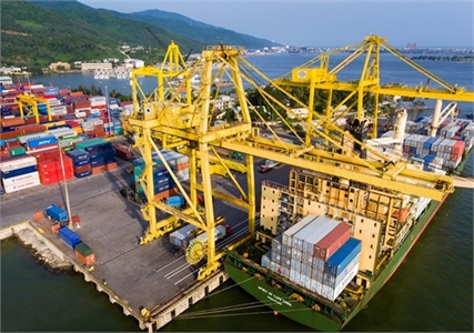 Hiệp hội điều và hồ tiêu cảnh báo lừa đảo khi giao dịch sang Dubai-UAE